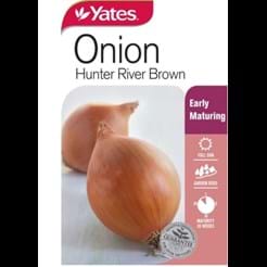 Onion Hunter River Brown