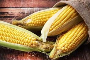 How to Grow Corn