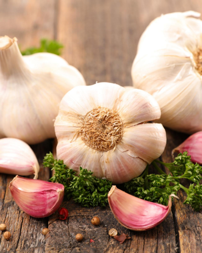 How to Grow Garlic