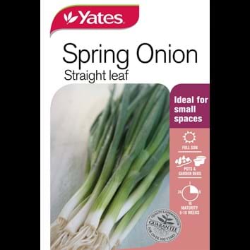 spring-onion-straight-leaf