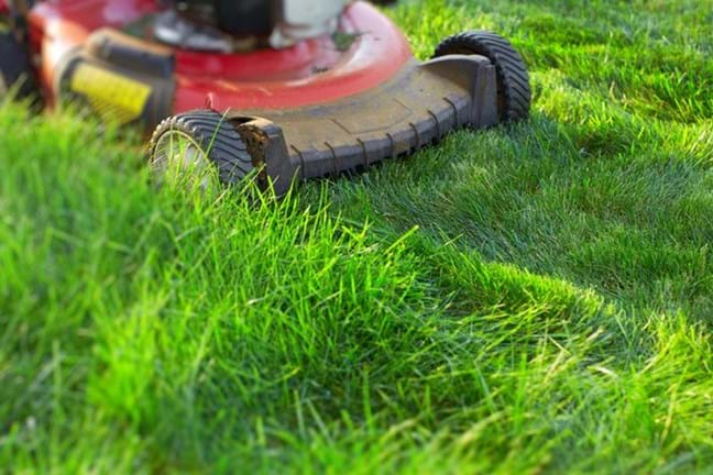 Lawn Mower 800X451px