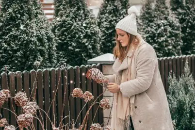 Winter Gardening in Different Climates