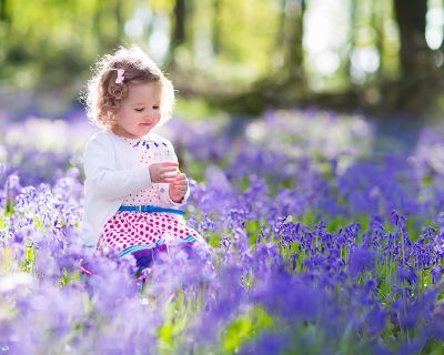 How To Grow Bluebells