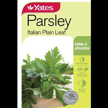 parsley-italian-plain-leaf