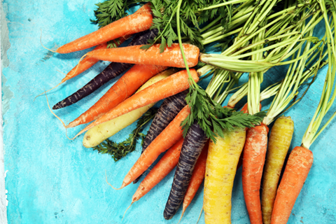 Bunch of freshly harvested orange carrots with the green tops still attached, laying on a timber table