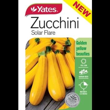 zucchini-solar-flare