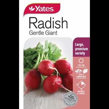 radish-gentle-giant