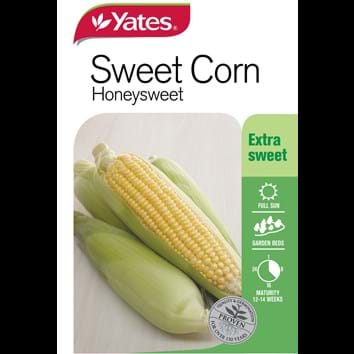 sweet-corn-honeysweet