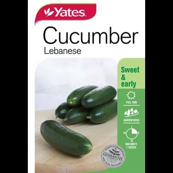 cucumber-lebanese