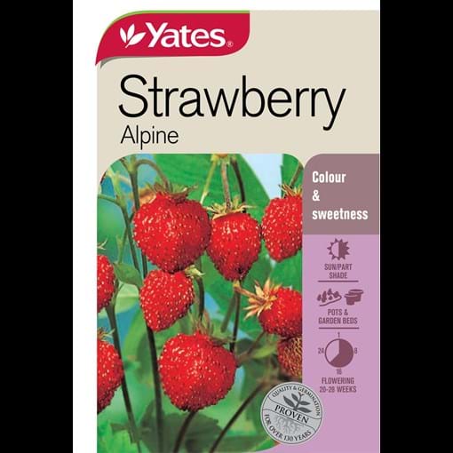 56075_Yates Strawberry Alpine_FOP_de3qmh.jpg (2)