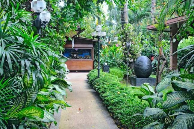a dense and lush tropical garden with a ball shaped water feature, and a path leading down to a timber house