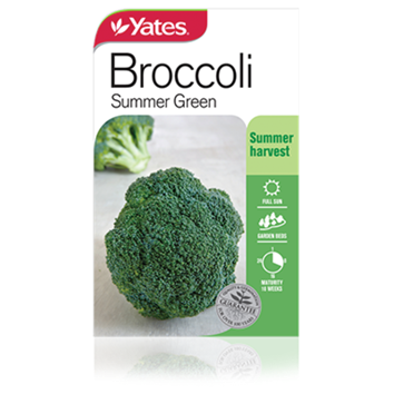 broccoli-summer-green