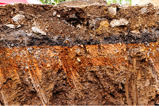 side soil profile of a hole showing various layers throughout