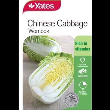 chinese-cabbage-wombok