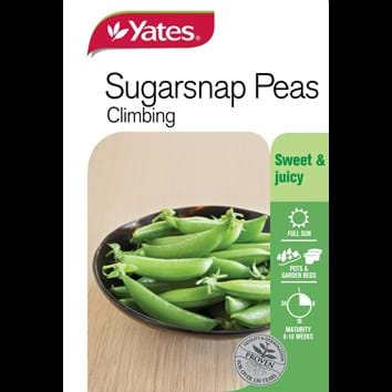 sugarsnap-peas-climbing