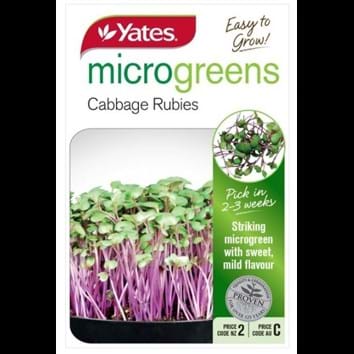 microgreens-cabbage-rubies