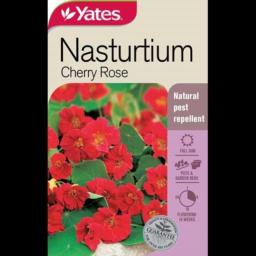 51654_Nasturtium Cherry Rose_FOP.jpg (1)