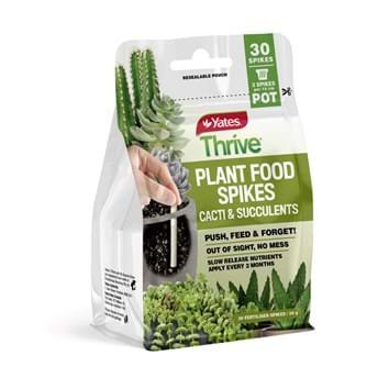 yates-thrive-plant-food-spikes-cacti-succulents