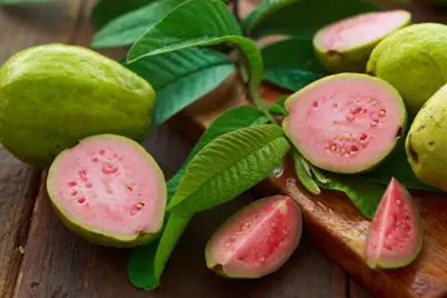 Guava