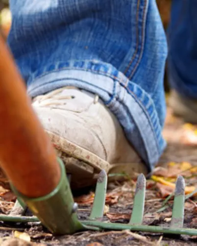 Other Garden Problems