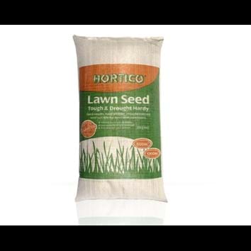 hortico-tough-drought-hardy-lawn-seed