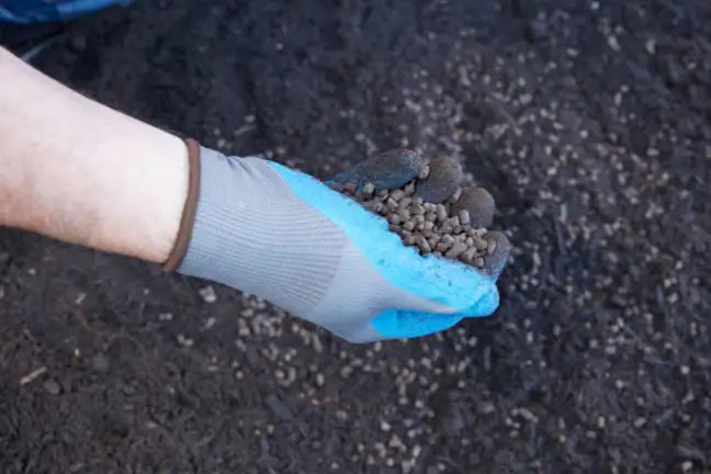 A gloved hand spreading Yates Dynamic Lifter Organic Fertiliser and Soil Improver over soil