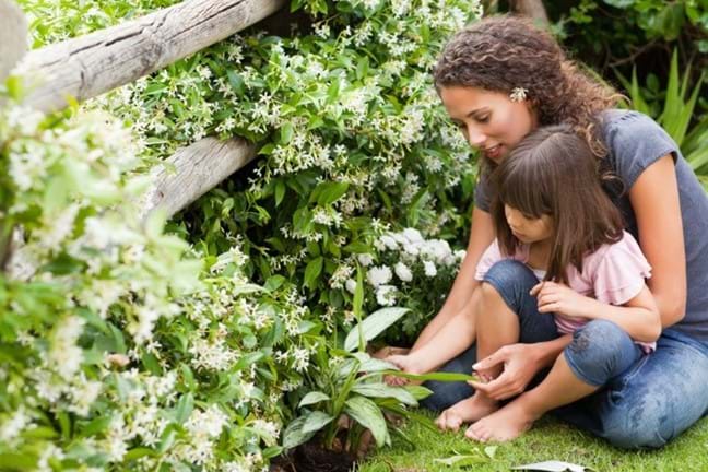 top 10 plants to grow with kids 1