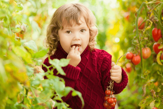 top 10 plants to grow with kids 11