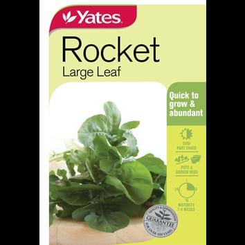 rocket-large-leaf