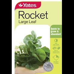 Rocket Large Leaf