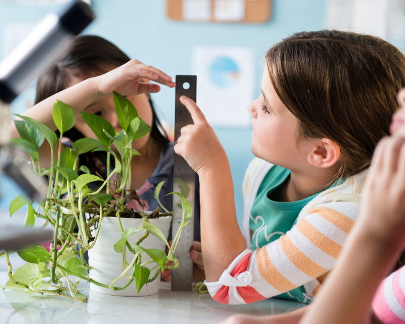 Create A Green Classroom