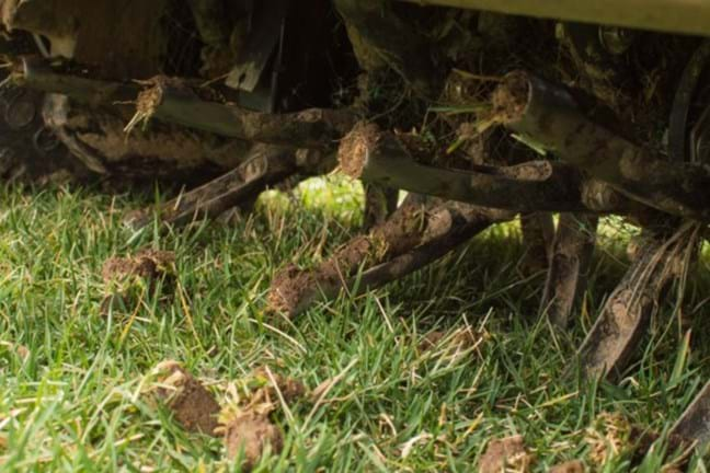 Mechanical corer poking holes into the lawn and removing soil plugs