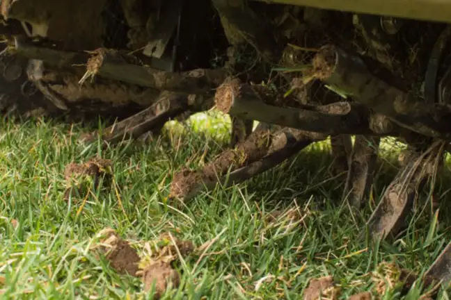 mechanical corer aerator creating soil cores