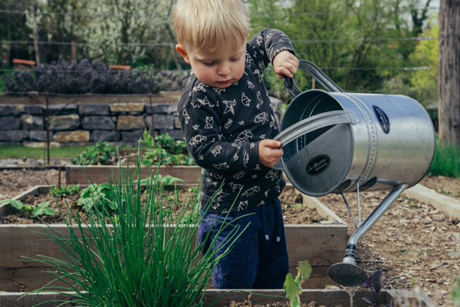 Child Watering Vegetable Garden Image