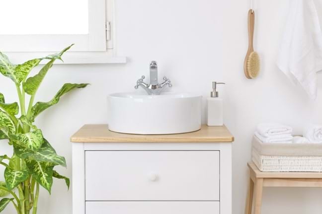 beauitful white bathroom with a mature Algonema green and yellow variety growing next to the sink