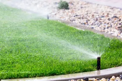 Why and how you should fertilise your lawn