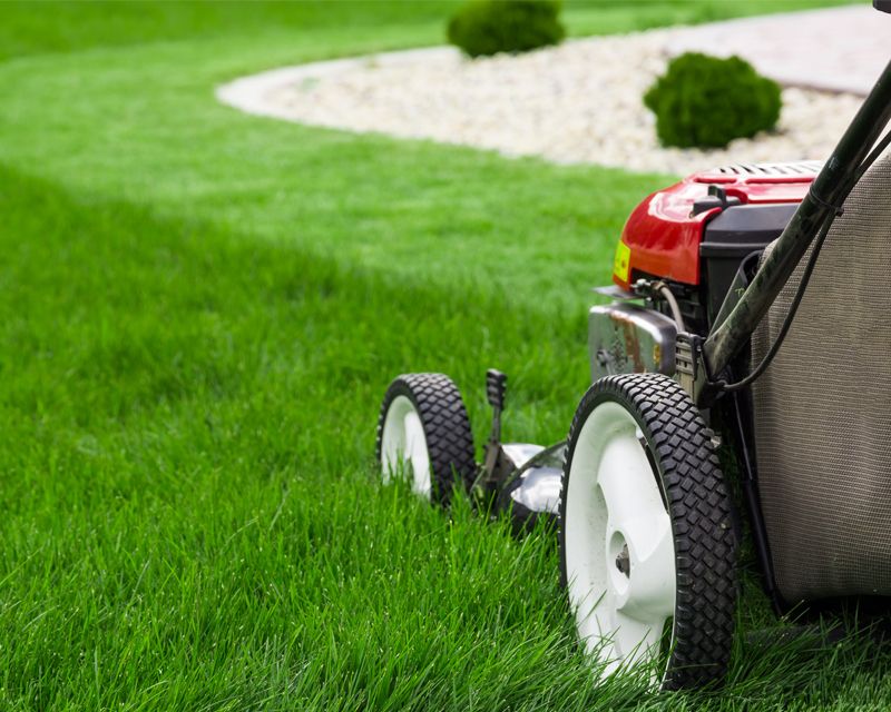 Lawn mower shop advice