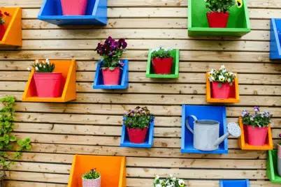 Beginners guide to small space gardens