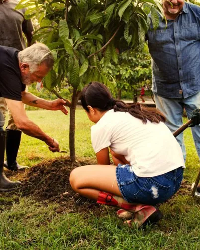 Autumn is the season for moving plants