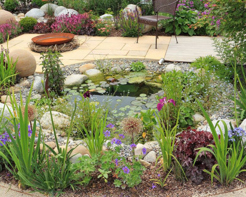 Create a Wildlife Pond | Yates Gardening