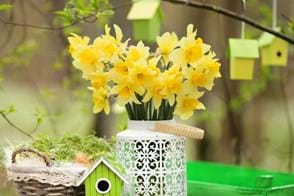 a white vase full of fresh-cut yellow daffodils sitting on a table outside with mini birdhouses nearby