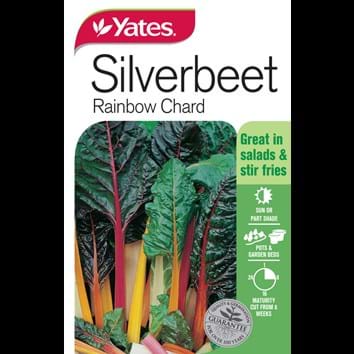 silverbeet-rainbow-chard