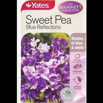 sweet-pea-blue-reflections