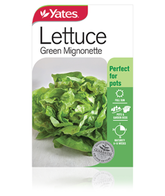 Lettuce Green Mignonette | Garden Seeds Yates Australia