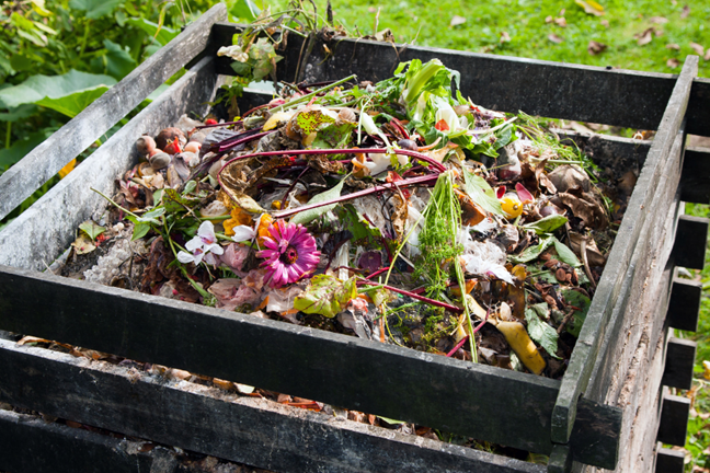 large timber compost bin filled with vegetable scraps and other organic material
