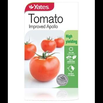 tomato-improved-apollo