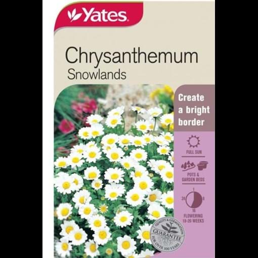 51653_Chrysanthemum Snowlands_FOP.jpg