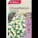51653_Chrysanthemum Snowlands_FOP.jpg