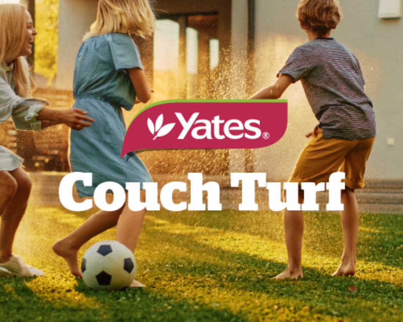 Yates Couch Turf