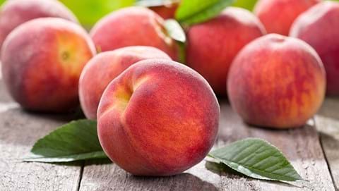 How to Grow Nectarines & Peaches